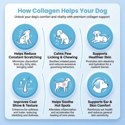 OLIRQ Liquid Collagen Formula