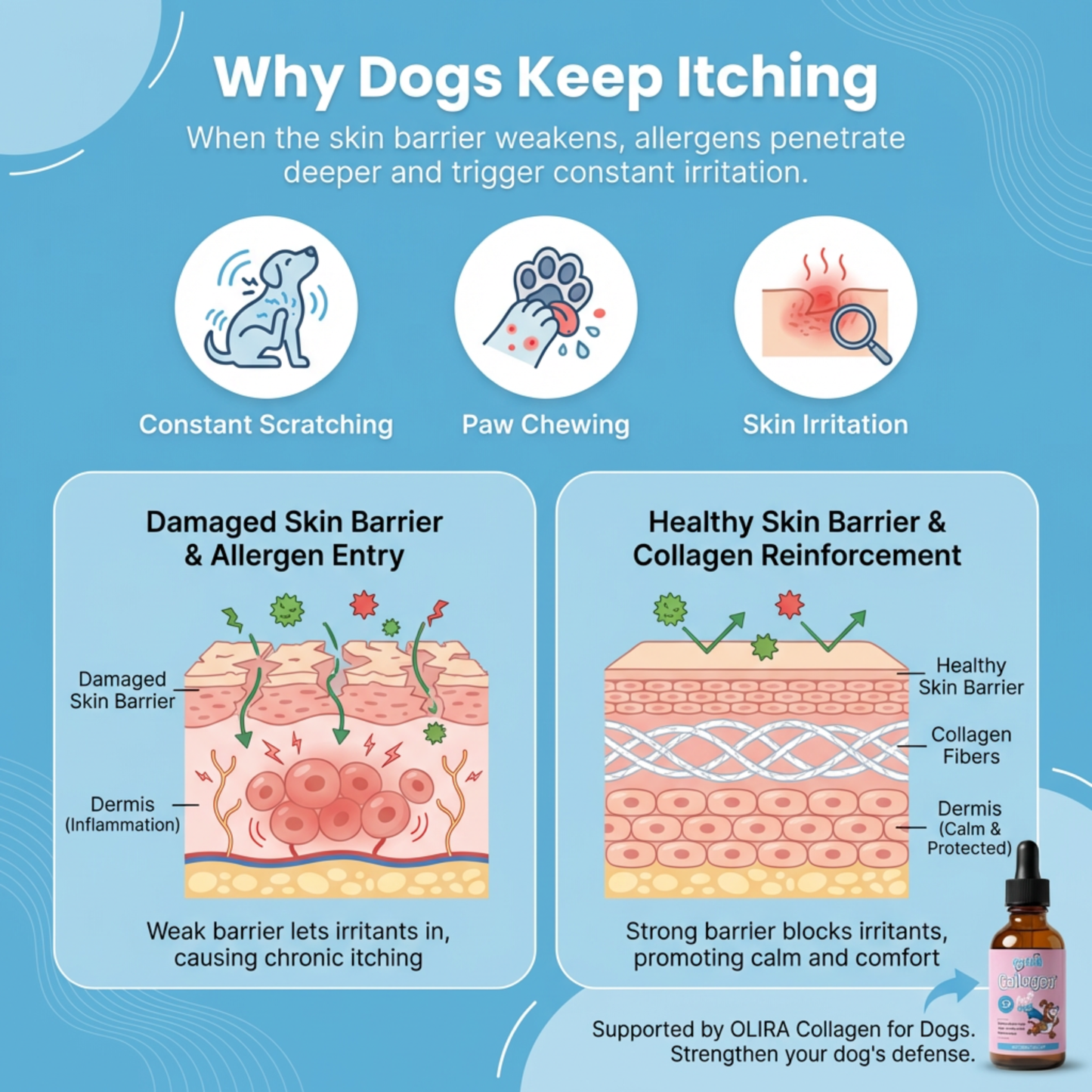 OLIRQ Liquid Collagen Formula