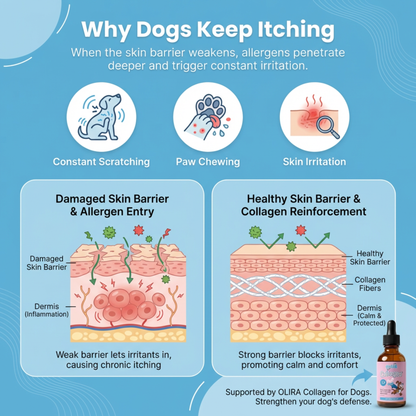 OLIRQ Liquid Collagen Formula