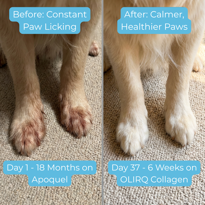 OLIRQ Liquid Collagen Formula