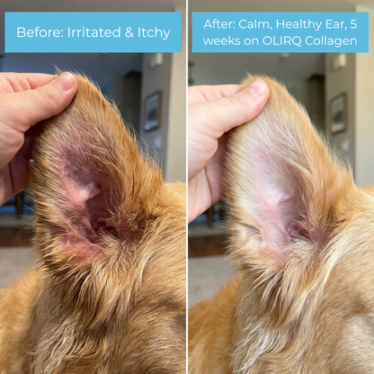 OLIRQ Liquid Collagen Formula