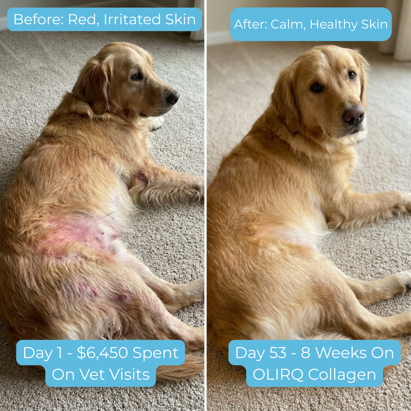 OLIRQ Liquid Collagen Formula