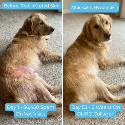 OLIRQ Liquid Collagen Formula